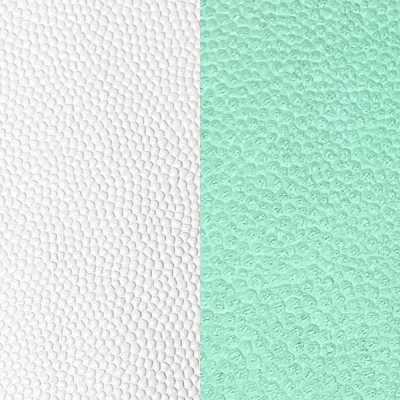 Cuirs blanc et vert pistache